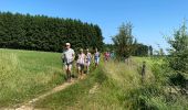 Tocht Stappen Tenneville - Journal - Photo 7