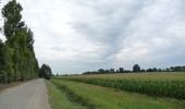 Tocht Te voet La Chapelle-des-Fougeretz - Les 5 Rottes - Photo 9