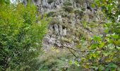 Tour Wandern La Bourboule - La Bourboule - Roche de Vendée- Rocher de l Aigle - Photo 12