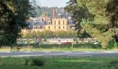 Tocht Stappen Fontainebleau - Fontainebleau Sentier Denecourt N°10 - Photo 1