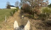 Trail Horseback riding Neufchâteau - Bois d’Ospot - Photo 1