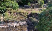 Randonnée Marche Cuges-les-Pins - Cuges le tour des jas  - Photo 9