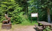 Trail Walking Murbach - Murbach - Photo 5