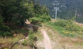 Tour Wandern Stoßweier - Le col de la Schlucht lac de la Lande - Photo 3