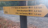 Trail Walking Venterol - URTIS . COL DE BUISSONET . SOM DE MONTSERIEUX . VENTEROL . O M S  - Photo 8