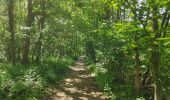 Trail Walking Incourt - Sart Risbart (Incourt) - Photo 10