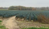 Tour Wandern Aalst - 20221204 Verkenning Moorsel - Photo 5