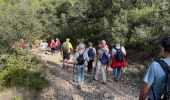 Trail Walking Cavaillon - PF-Cavaillon - La Colline Saint Jacques - Photo 4