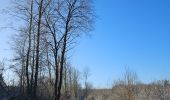 Trail Walking Saint Vith - Rodt - BierMuseum ❄️ - Photo 6
