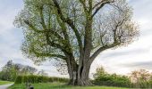 Tocht Te voet Schöntal - Rundweg 2 Neusaß - Photo 1