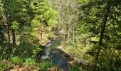 Percorso Marcia La Bourboule - Dordogne-StRoch-Liournat_fohet - Photo 16