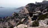 Tocht Stappen Cassis - Les 3 Calanques coté Est - Port Miou - En Vau - Port Pin - Photo 11