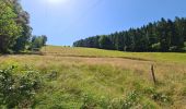 Randonnée Marche Stoumont - La Mont des Brumes - Photo 7