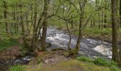 Tour Wandern Eupen - 20240422 - Barrage EUPEN 7.1 Km - Photo 11