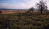 Trail On foot Waimes - Signal de Botrange: Rond de Venen - Photo 5