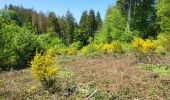 Trail Walking Bouillon - Botassart 240523 - Photo 3