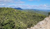 Trail Walking Solliès-Toucas - couvent Saint Hubert - Photo 13