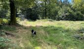 Trail Walking Neufchâteau - Hosseuse début GR 151 puis boucle retour  - Photo 12