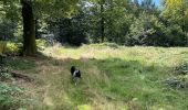 Tocht Stappen Neufchâteau - Hosseuse début GR 151 puis boucle retour  - Photo 12