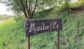 Randonnée Marche Hamois - Sentiers d'Art / Natoye -> Gesves / 2020-05-30 / 22 km - Photo 6