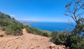 Trail Walking Saint-Raphaël - 1 Les balcons du Cap Roux - Photo 2