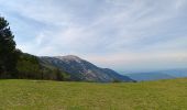 Tour Wandern Aurel - Le Pas de la Frache - Photo 11