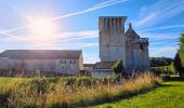 Tour Zu Fuß Crouy-sur-Ourcq - Boucle 30 km Crouy / Ourcq - Gandelu - Montigny - Coulombs en Valois - Photo 15