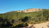 Tour Wandern Bagnols-en-Forêt - BAGNOLS EN FORÊT - LES GORGES DU BLAVET - Photo 6