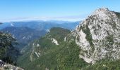 Tocht Stappen Romeyer - Dieois - Rochers de plautret - Jul20 - Photo 2