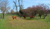 Tocht Stappen Hommes - Hommes - GRP Castelvalérie - 26.8km 150m 5h45 (50mn) - 2023 04 05 - Photo 5