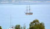 Trail Walking Calvi - Citadelle Calvi - Village - Notre dame de la Serra - Photo 19
