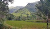 Tour Wandern Bandarawela - Sri-10 Bandarawela  - Iddalgasinne - Bambarakanda - Lyangahawela - Photo 9