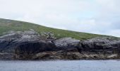 Randonnée A pied Unknown - Stones of Stofast to Lunna Ness - Photo 5