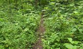 Trail Walking Oncy-sur-École - Oncy-sur-École - Grotte aux Fées  - Photo 20