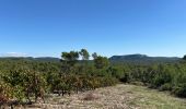 Trail  Fontanès - Fontanes - Photo 2