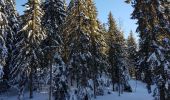 Excursión Raquetas de nieve Autrans-Méaudre en Vercors - gros martel - Photo 2