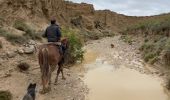 Trail Horseback riding Bardenas Reales de Navarra - Bardenas jour 6 - Photo 17
