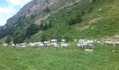 Randonnée Marche Eyne - Col de Nuria par vallée d'EYNE - Photo 3