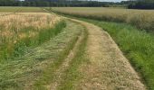 Tocht Stappen Fontaine-les-Coteaux - Fontaine-les-coteaux - Bois de Beauvoir - Photo 9