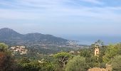 Trail Walking Corbara - Tour du Monte Sant’Anghjulu - Photo 1