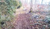 Tocht Stappen Braillans - BRAILLANS Forêt de MARCHAUX - Photo 2