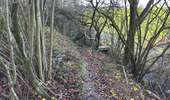Tour Wandern Welkenrath - Welkenraedt - Eupen gare à gare 24 km - Photo 7