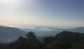 Tour Wandern Évenos - Mont Caume +Baou des 4 Oures au départ du col de garde - Photo 1