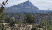 Excursión Senderismo Le Tholonet - le tour des trois barrages - Photo 17