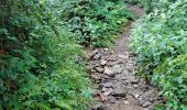 Trail Walking Bouillon - boucle  aventure  - Photo 8