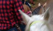 Trail Horseback riding Buriville - buriville pour debaliser avec élodie tiboy vispa tivio - Photo 1