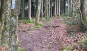 Tour Wandern Manhay - Harre, marche adeps 10 Km - Photo 5
