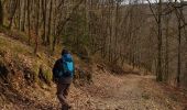 Trail Walking La Roche-en-Ardenne - Balade à Samrée - Photo 5