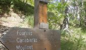 Trail Walking Moulinet - Baisse de Bécass - Photo 5