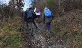 Tour Wandern Theux - 20220109 - Forestia 10.2 Km - Photo 19